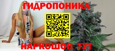 первитин Гудермес